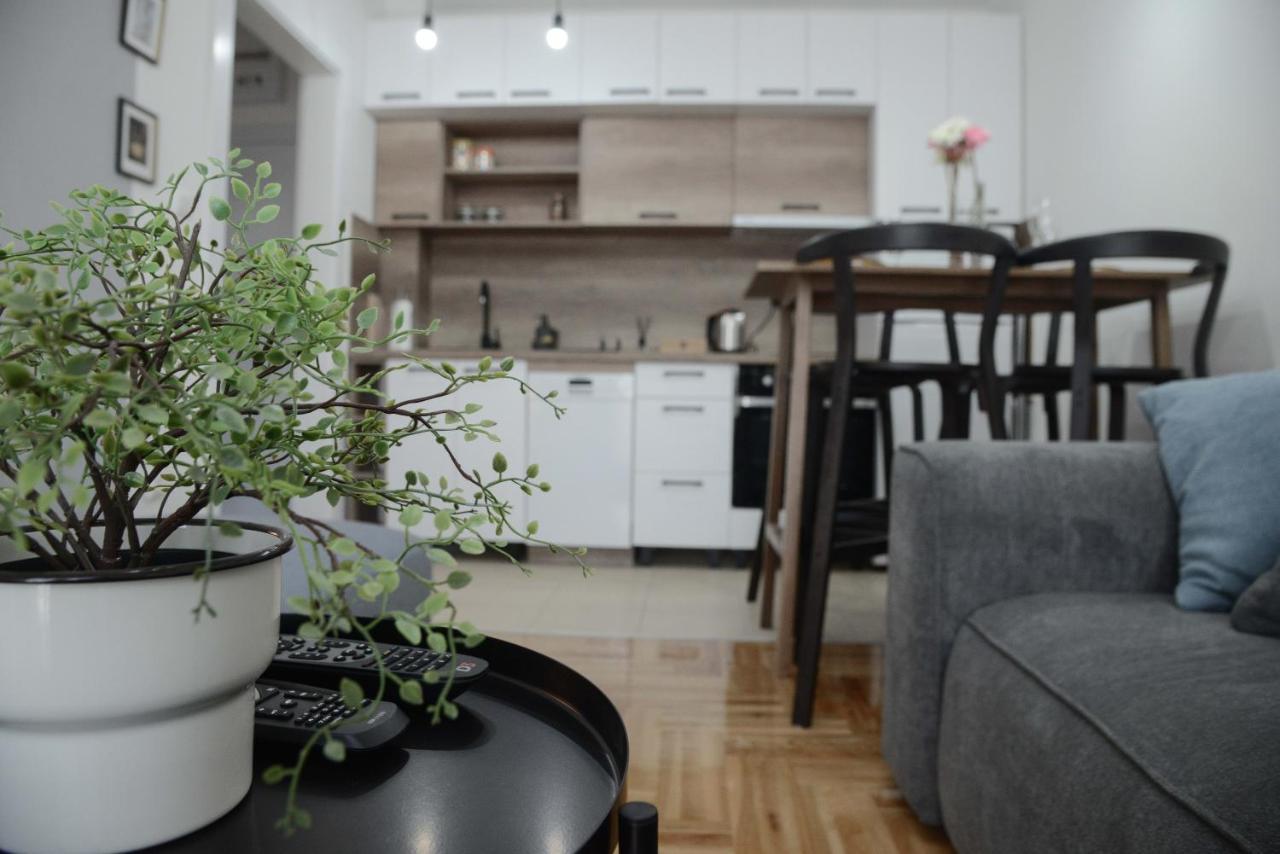 Apartment Dobraya Grey Novi Sad Exterior photo